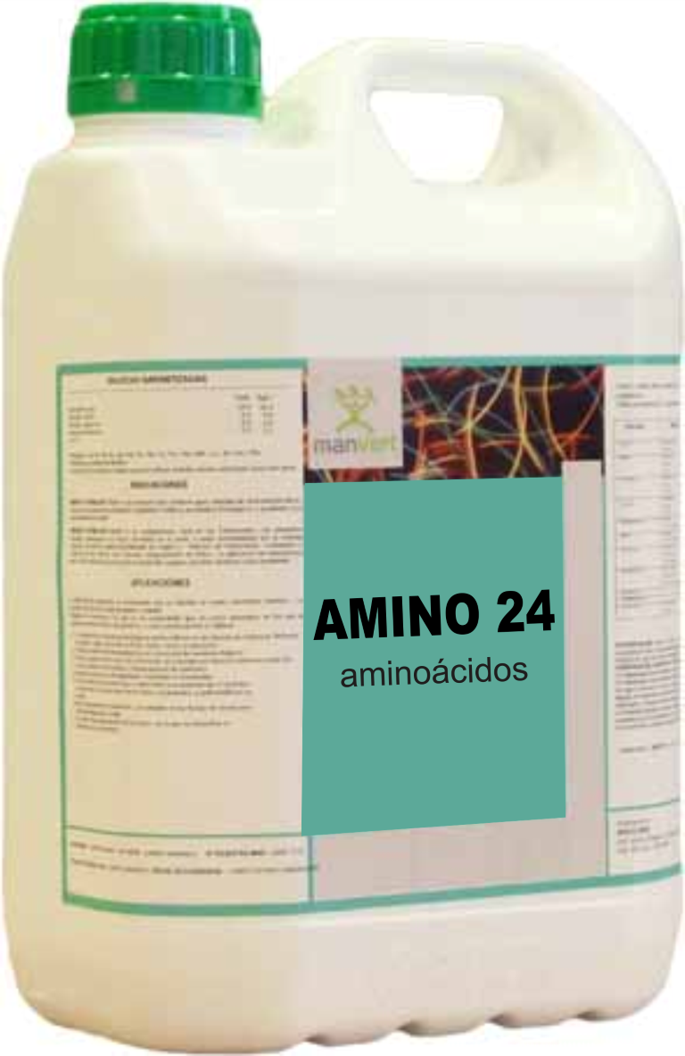 Amino 24